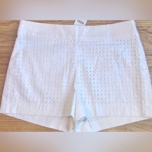 Eyelet Chino Shorts